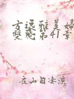 方逸雅美妇厨房双飞第41章