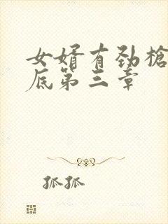 女婿有劲枪枪到底第三章