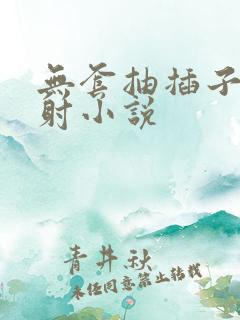 无套抽插子宫内射小说