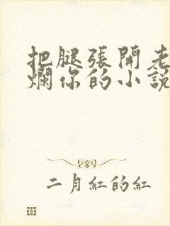 把腿张开老子臊烂你的小说