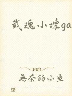 武魂小坏ga