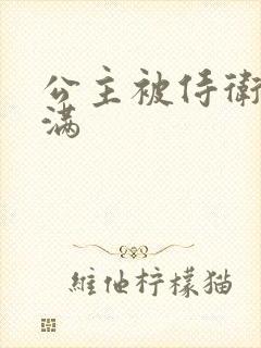 公主被侍卫填的满