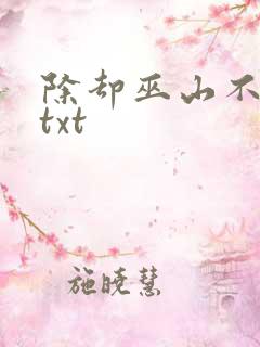 除却巫山不是云txt