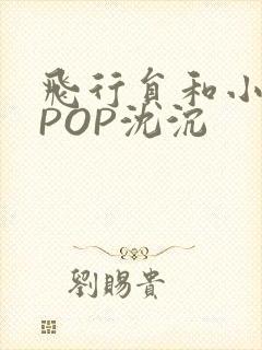 飞行员和小空乘POP沈沉