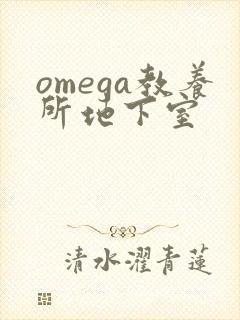 omega教养所地下室