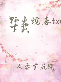 野火烧春txt下载
