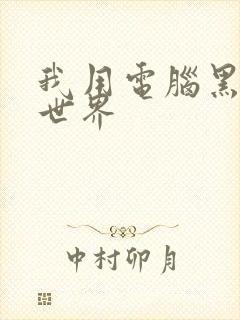 我用电脑黑了全世界