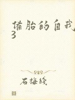 备胎的自我修养3