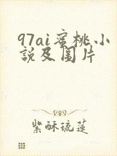 97ai蜜桃小说及图片