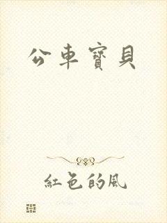 公车宝贝