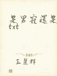 是男宠还是禁脔txt