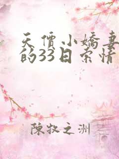天价小娇妻总裁的33日索情