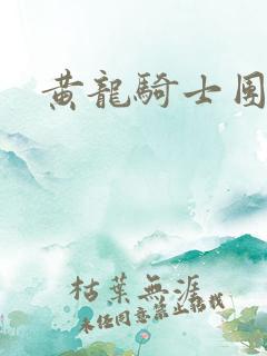 黄龙骑士团论坛