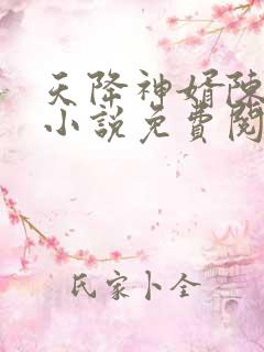 天降神婿陈黄皮小说免费阅读