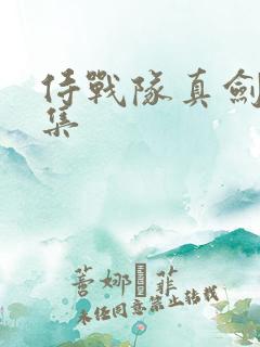 侍战队真剑者全集