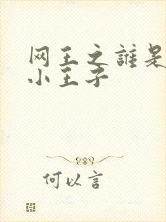 网王之谁是我的小王子