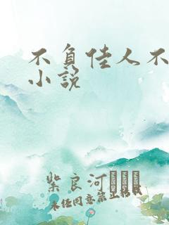 不负佳人不负卿小说