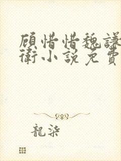 顾惜惜魏谦锦衣卫小说免费阅读