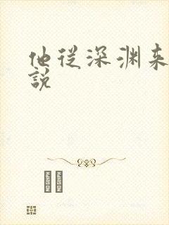 他从深渊来 小说