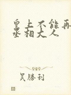 皇上不能再进了丞相大人