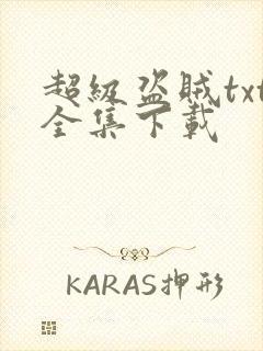 超级盗贼txt全集下载