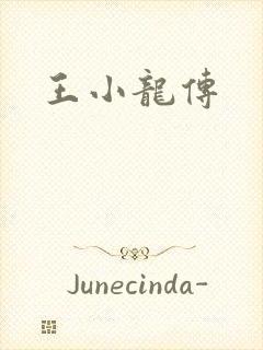 王小龙传