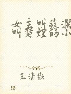 女主叫苏澜男主叫楚煜的小说