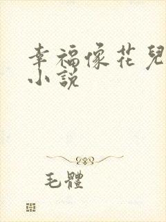 幸福像花儿一样小说