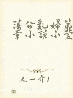 荡公乱妇第51章小说小莹