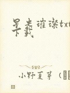 星光璀璨txt下载