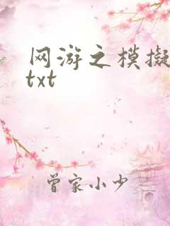 网游之模拟城市txt