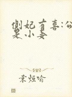 侧妃有喜:公主是小妾