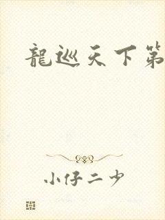 龙巡天下第四部