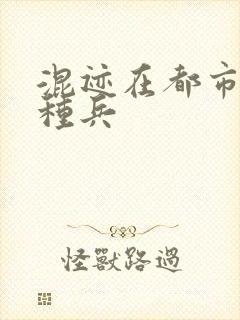 混迹在都市的特种兵