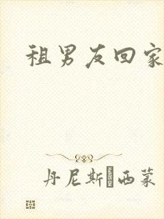 租男友回家过年