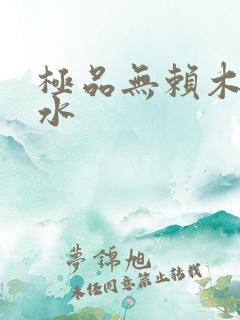 极品无赖木石山水