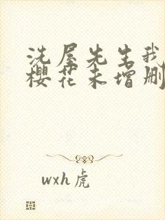 洗屋先生我和那樱花未增删带翻译