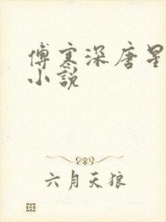 傅寒深唐星挽的小说