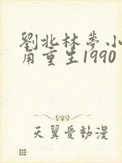 刘北林梦小说主角重生1990