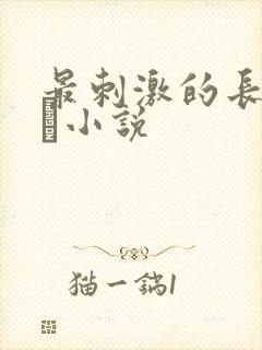 最刺激的长篇乱惀小说