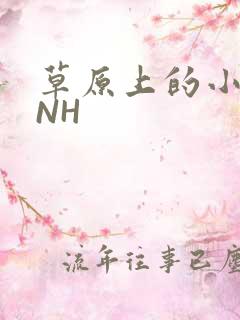 草原上的小公主NH