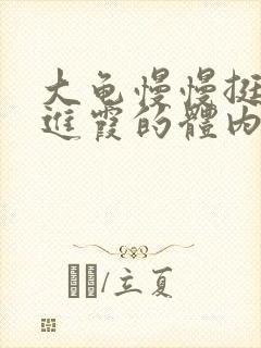 大龟慢慢挺进王进霞的体内