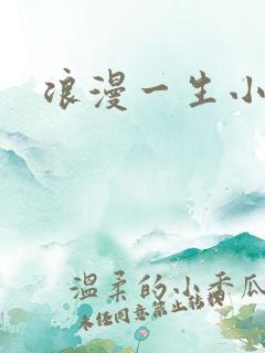 浪漫一生小说网