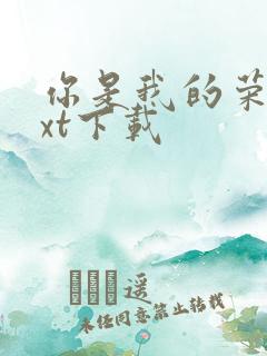 你是我的荣耀txt下载