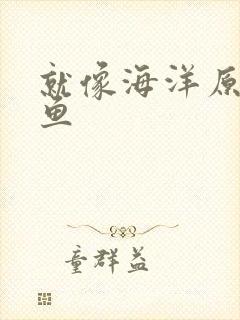 就像海洋原谅了鱼