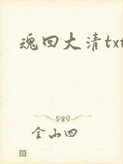 魂回大清txt