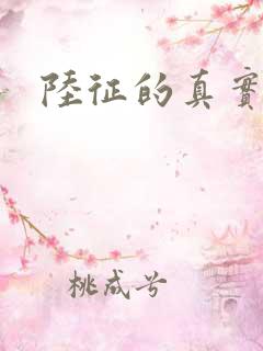 陆征的真实身份