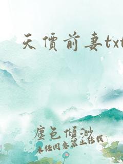 天价前妻txt