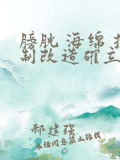 膀胱 海绵 控制改造确立m