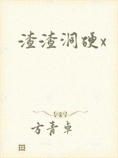 渣渣洞硬x